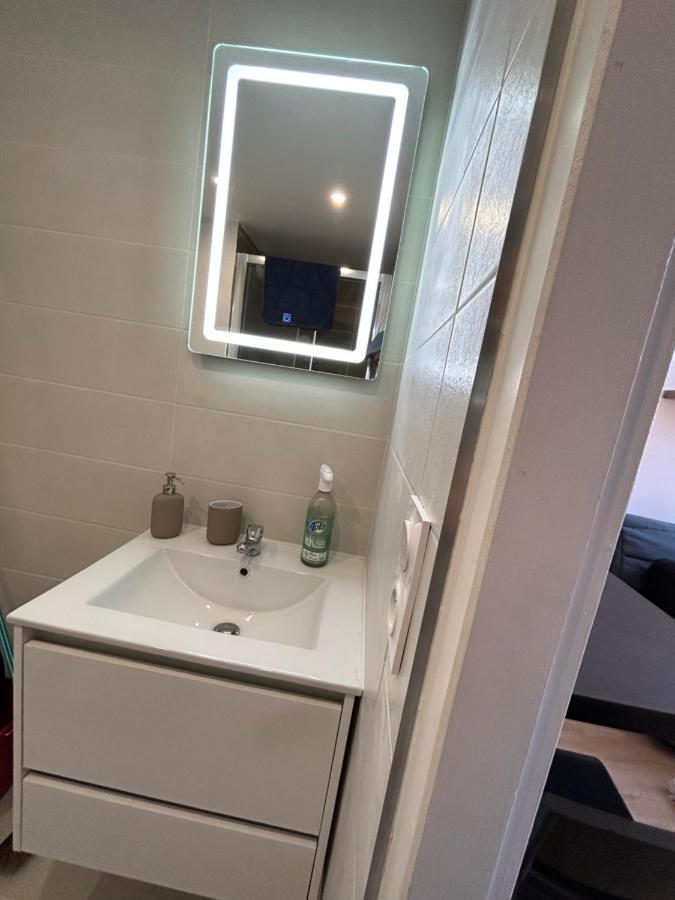 Le Cygne Blanc Apartment Toulouse Luaran gambar