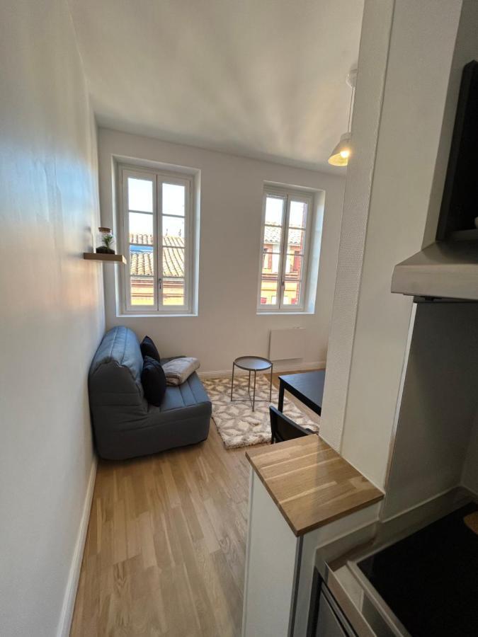 Le Cygne Blanc Apartment Toulouse Luaran gambar